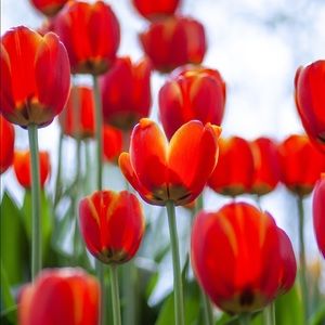 Meet your Posher, Erin